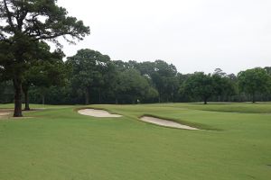 Quixote 3rd Green